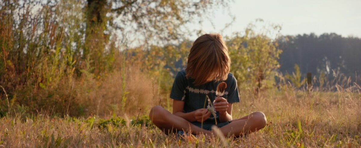 Kadr: Warren i trzy wierzby