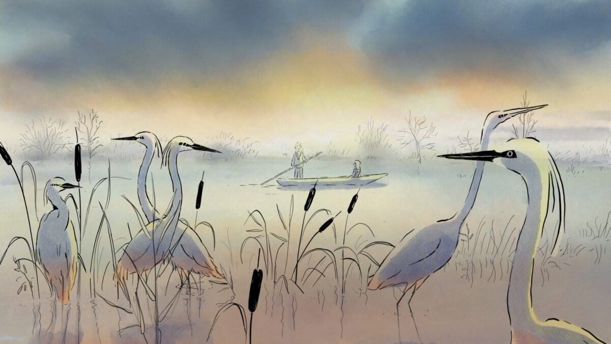Still: Funny Birds