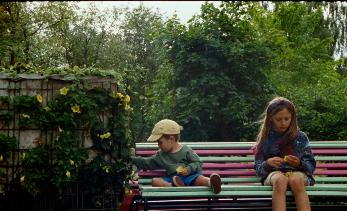 Still: Iris – set