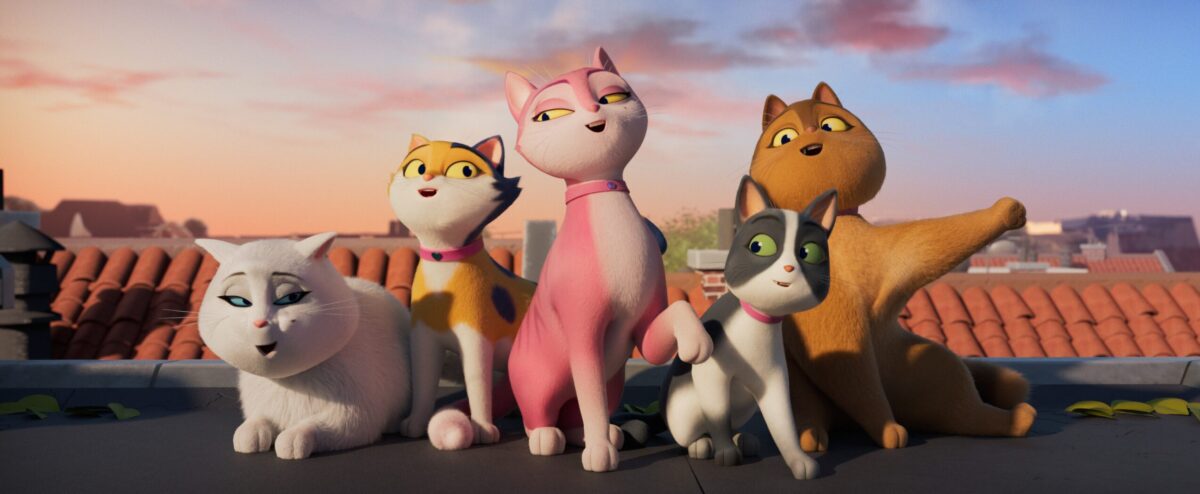 Kadr: Miss Moxy. Kocia ekipa