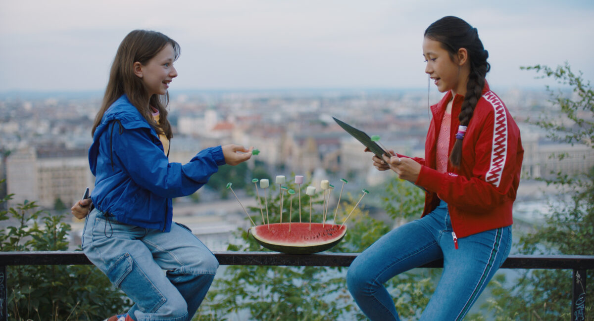 Still: I Accidentally Wrote a Book