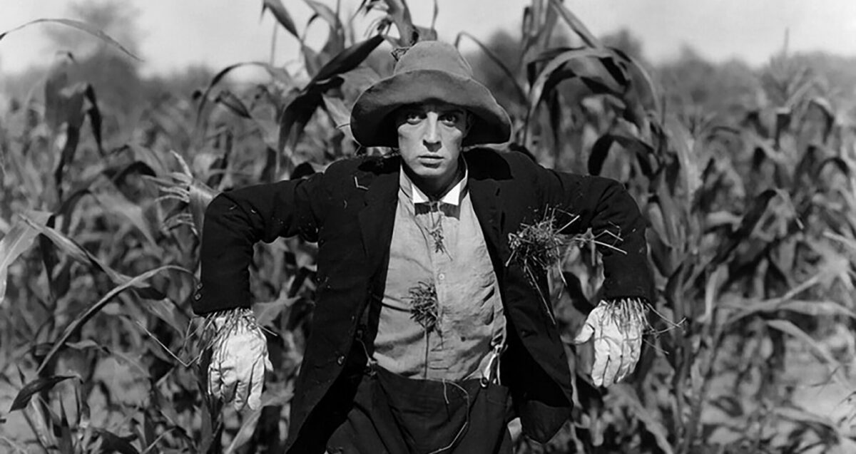 Kadr: Strach na wróble