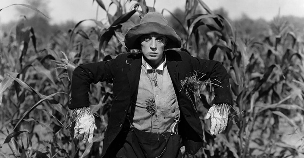 Still: The Scarecrow